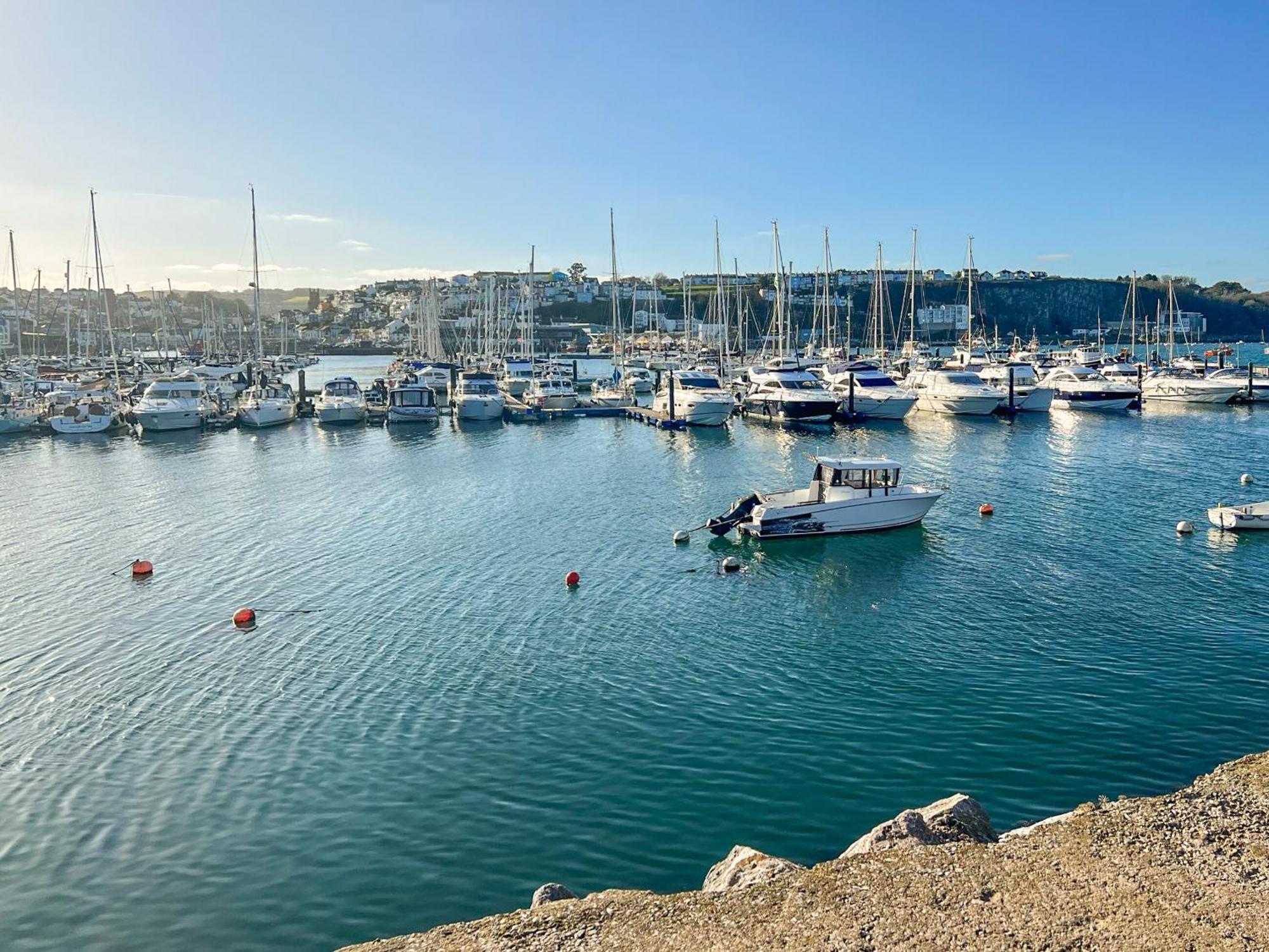 Apartament 9 Dolphin Court Brixham Zewnętrze zdjęcie